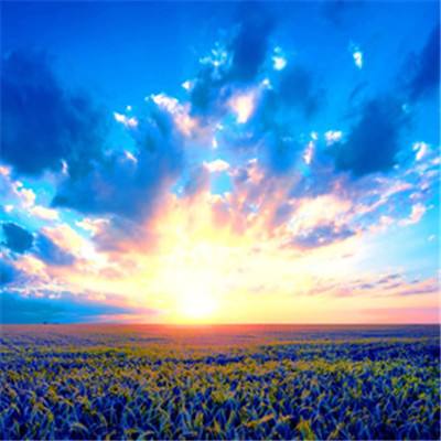 博鱼官方体育登录入口