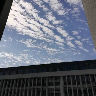 jinnian金年会体育在线入口